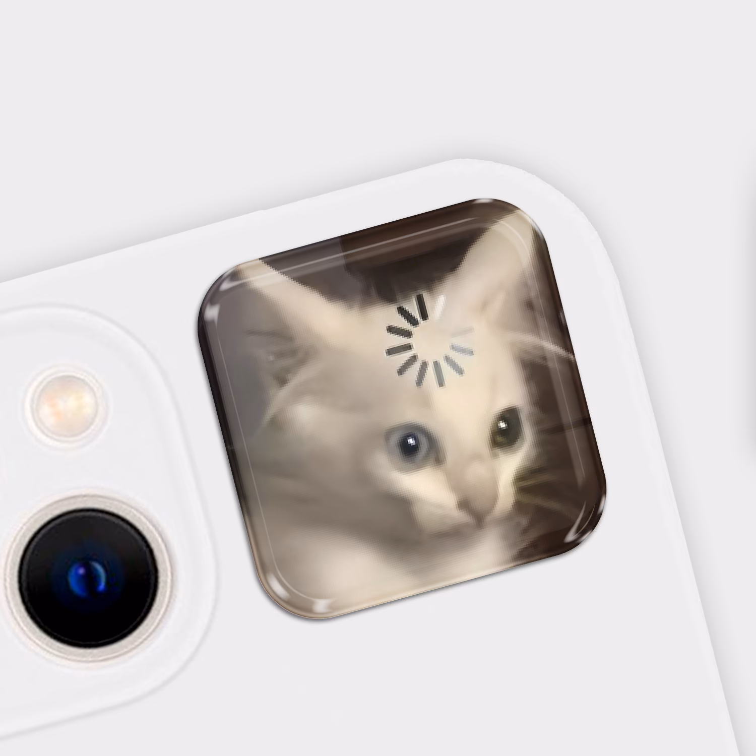 3D стикер "Кот загрузка"