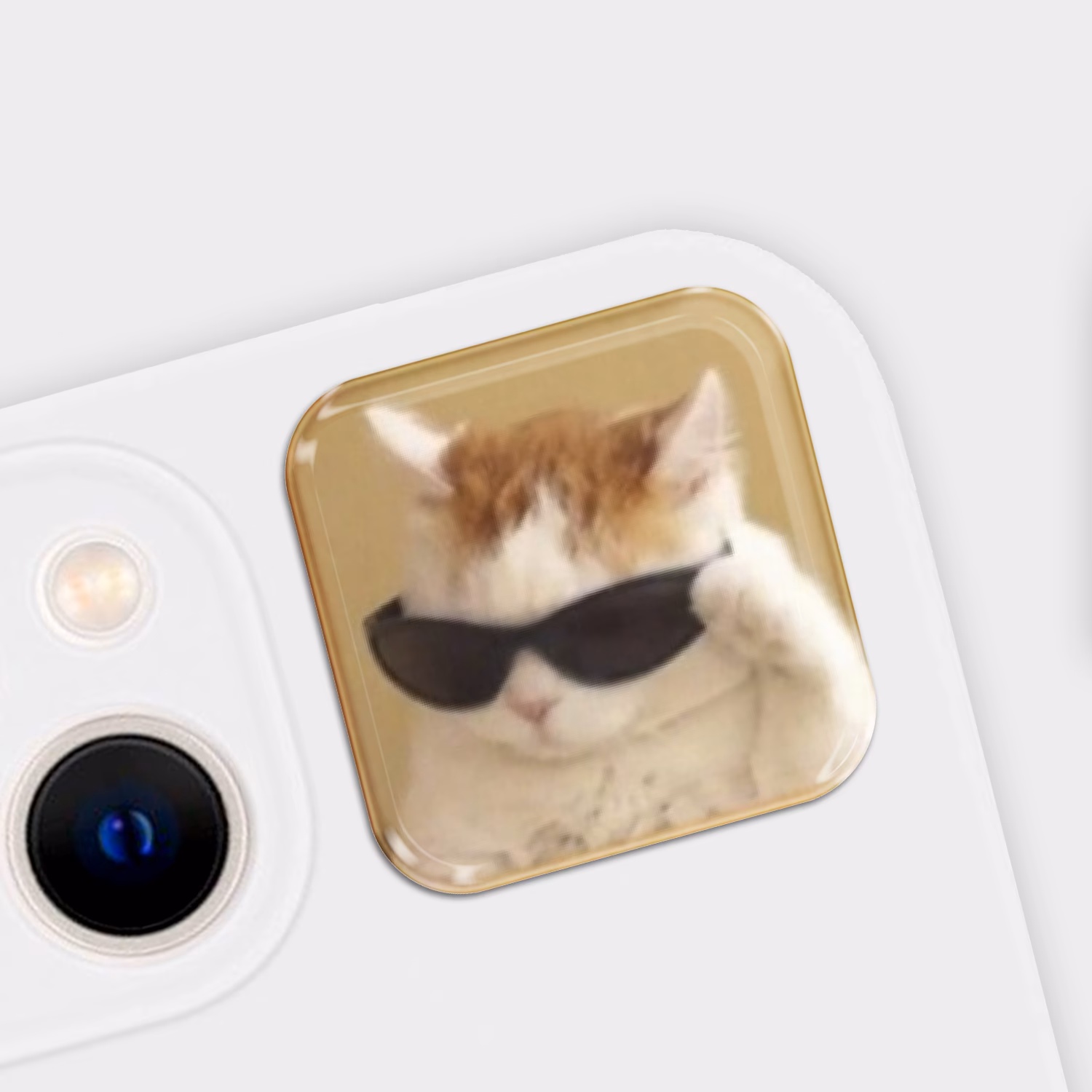 3D стикер "Мем кот в очках"