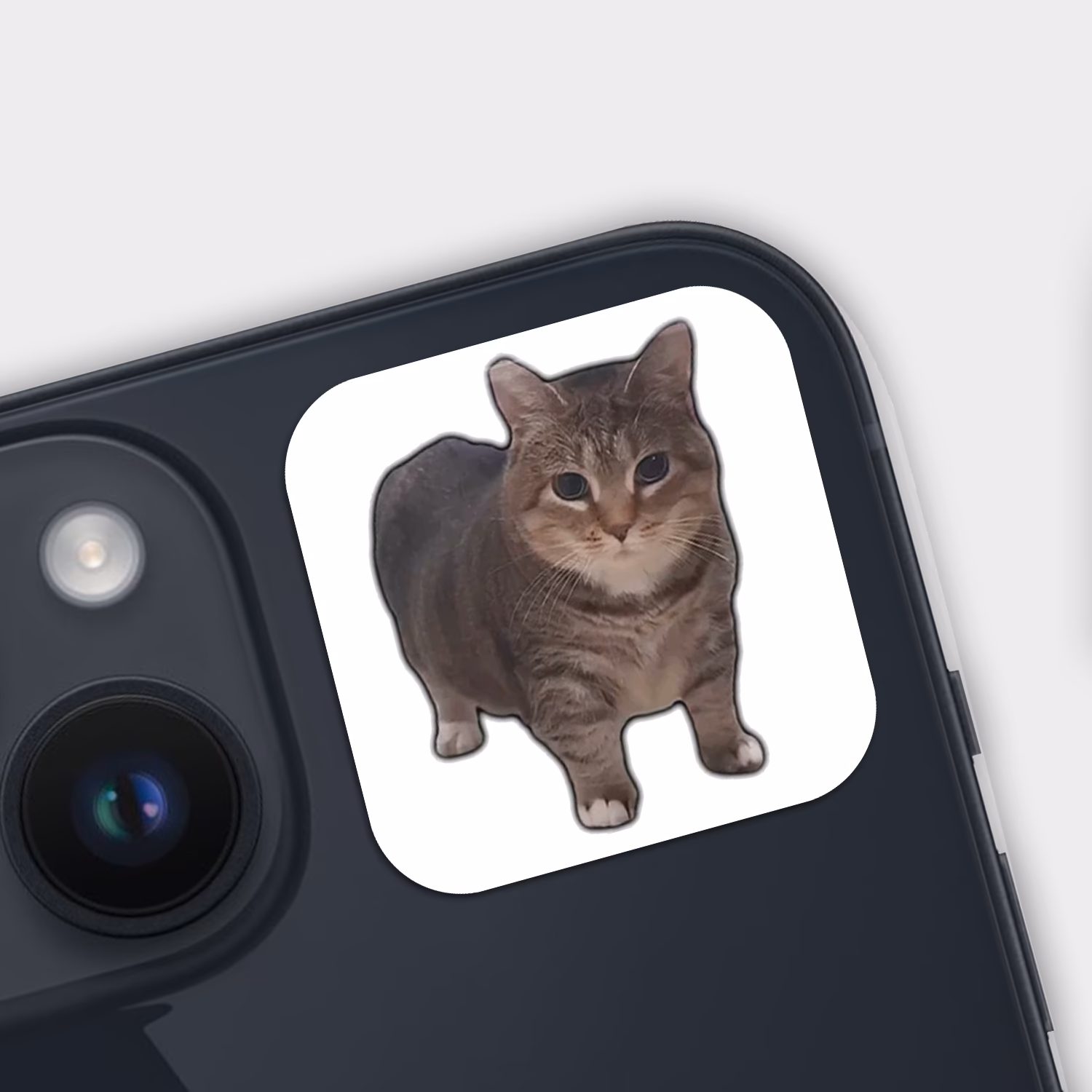 3D стикер "OIA CAT / ОИА КОТ"