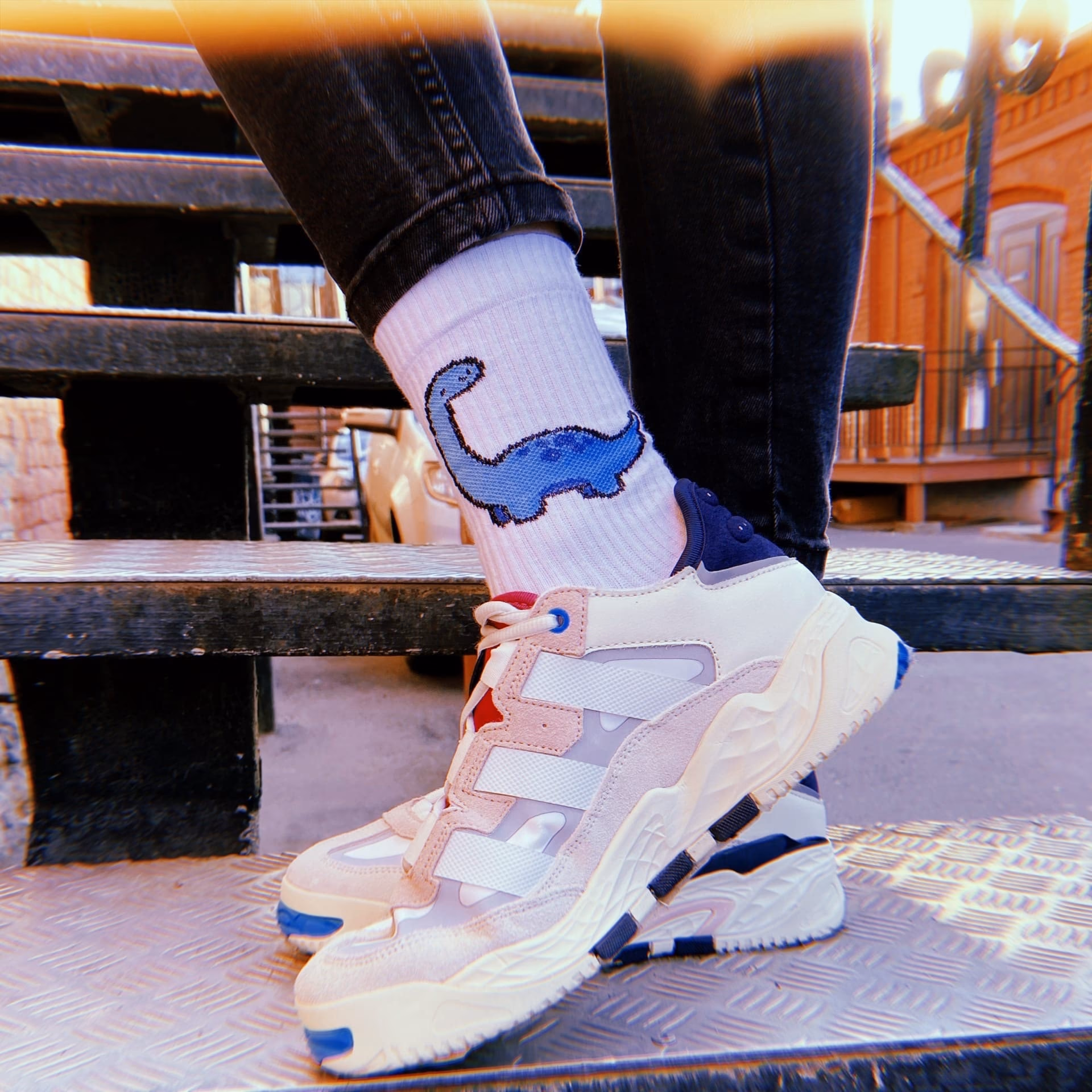 Носки "Диплодок" sale