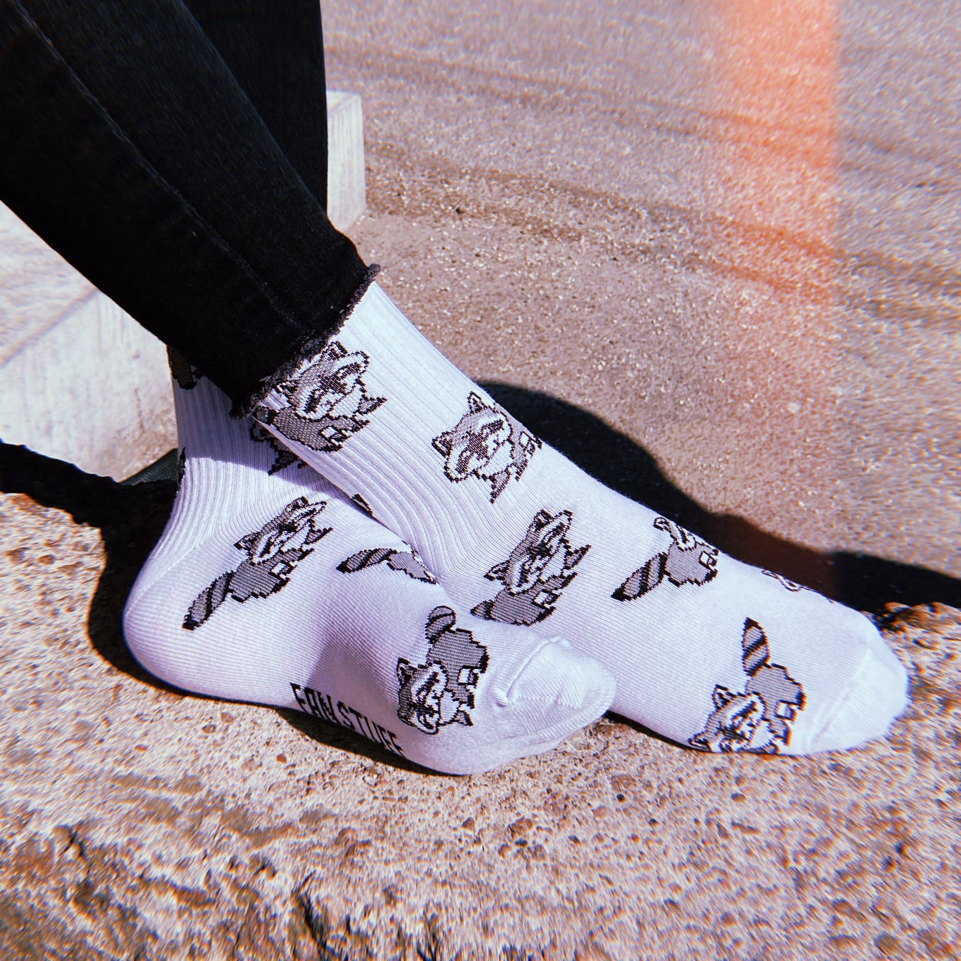 Носки "Еноты"