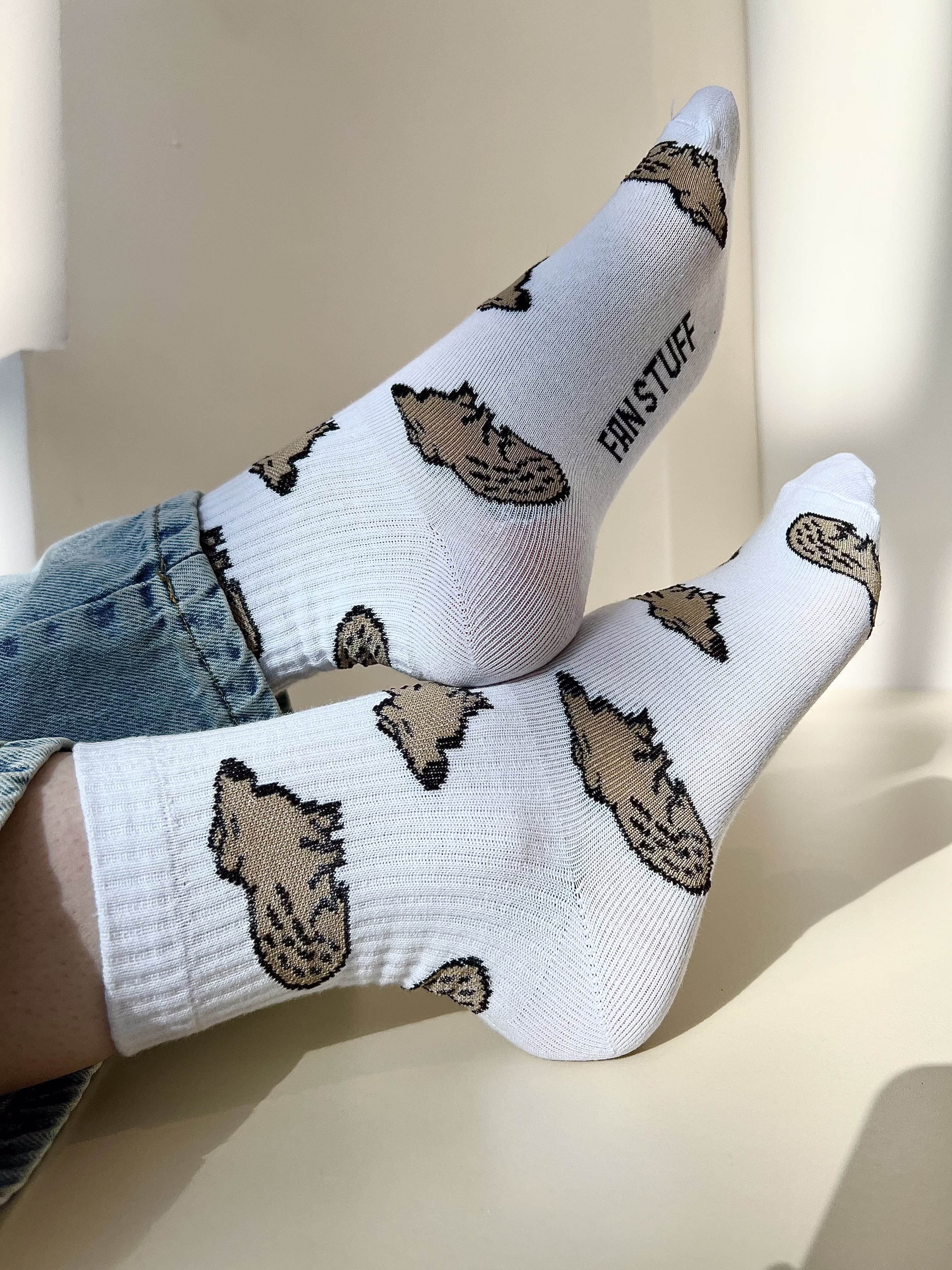 Носки "Капибара"