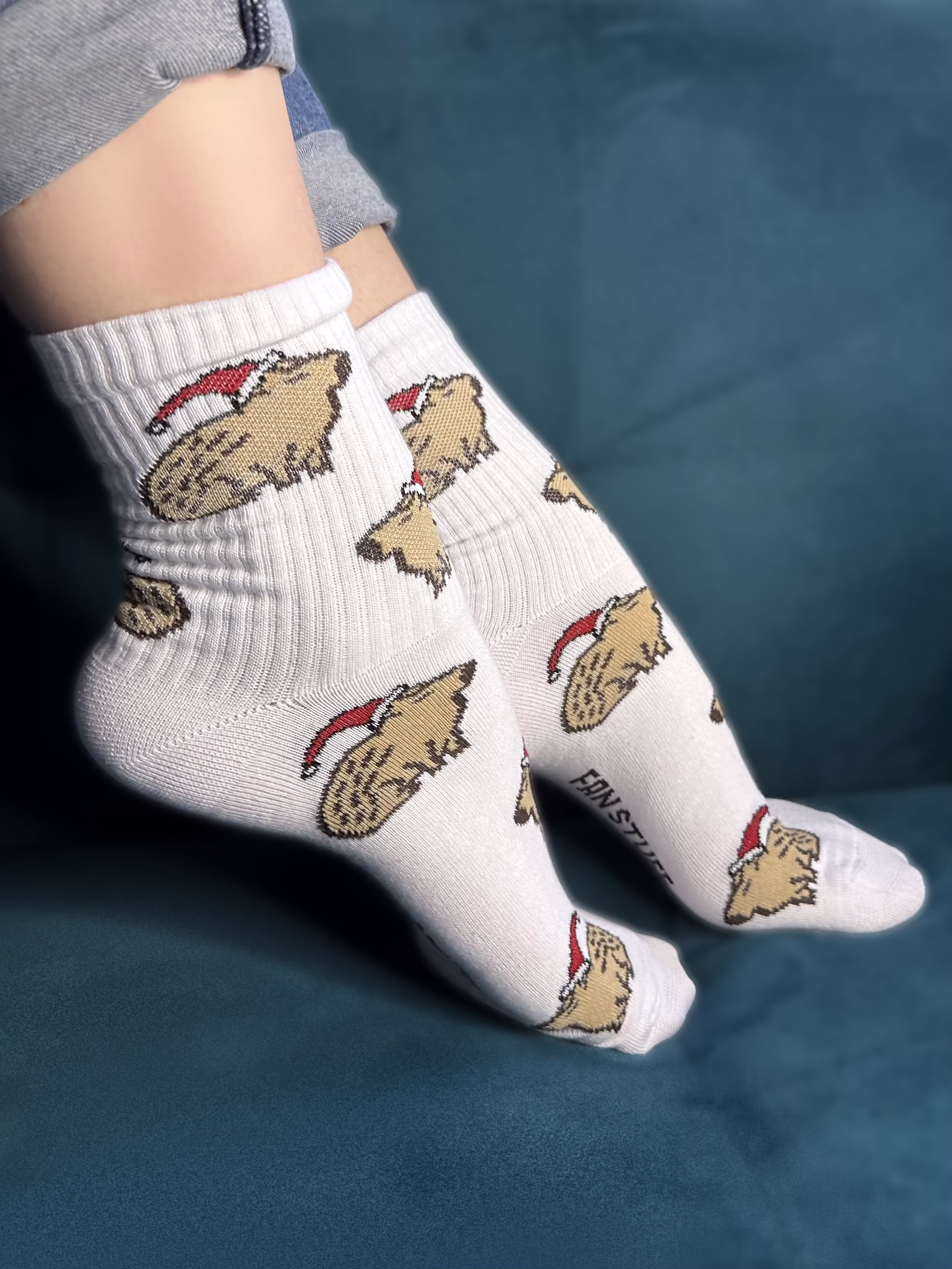 Носки "Капибара НГ" Новогодняя коллекция