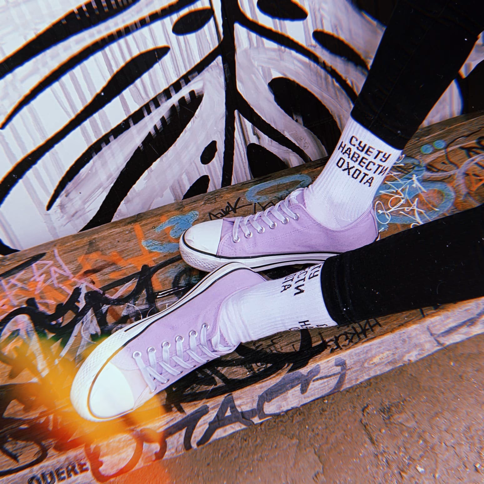 Носки "Суету навести охота"