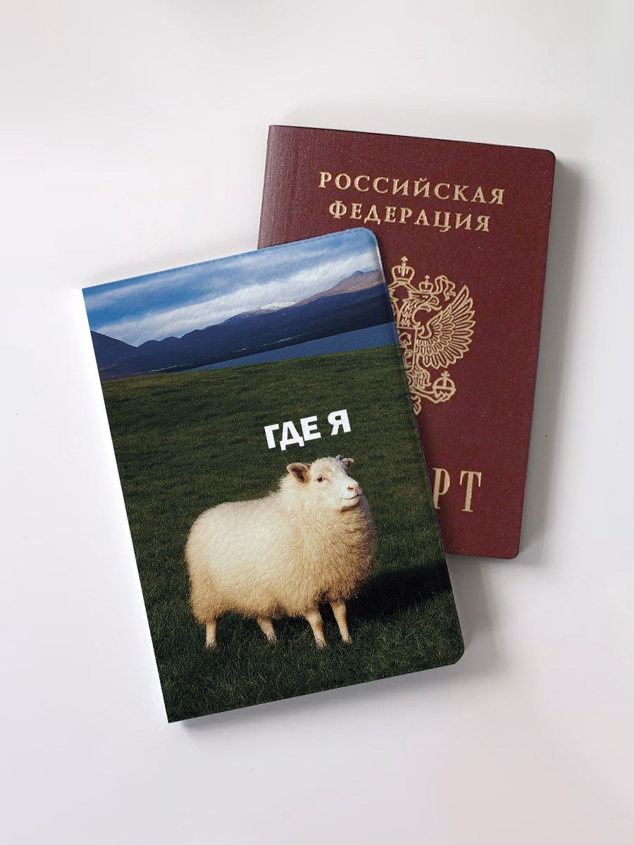 Обложка для паспорта "Где я"