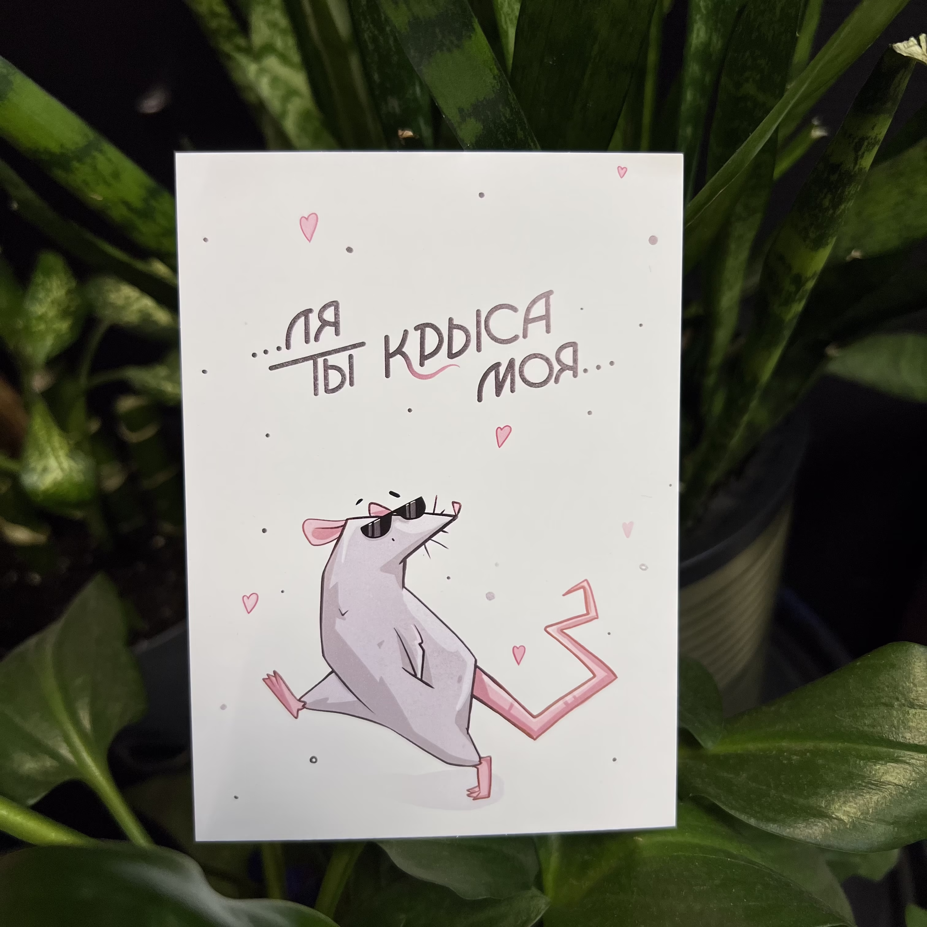 Открытка "Ля ты крыса моя"