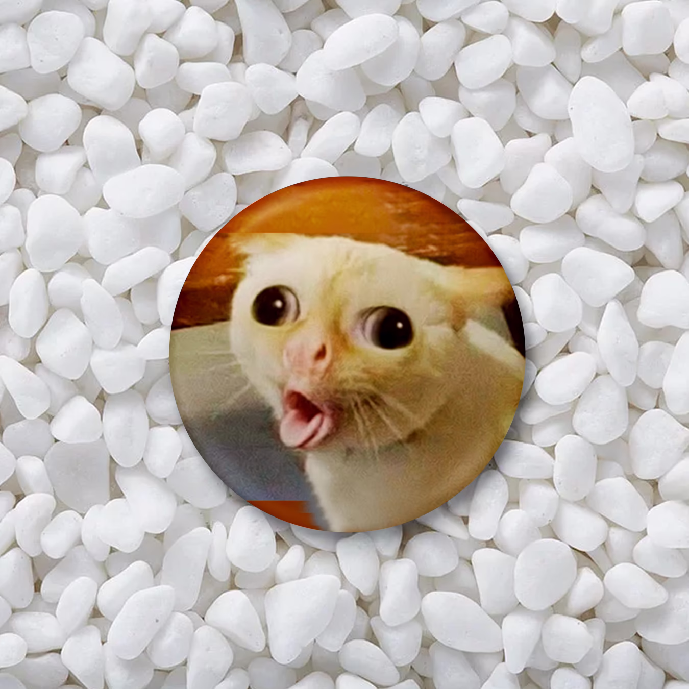 Значок "Мем кот КХЕ"