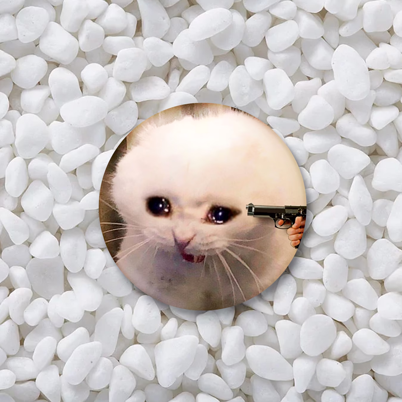 Значок "Мем кот с пистолетом"