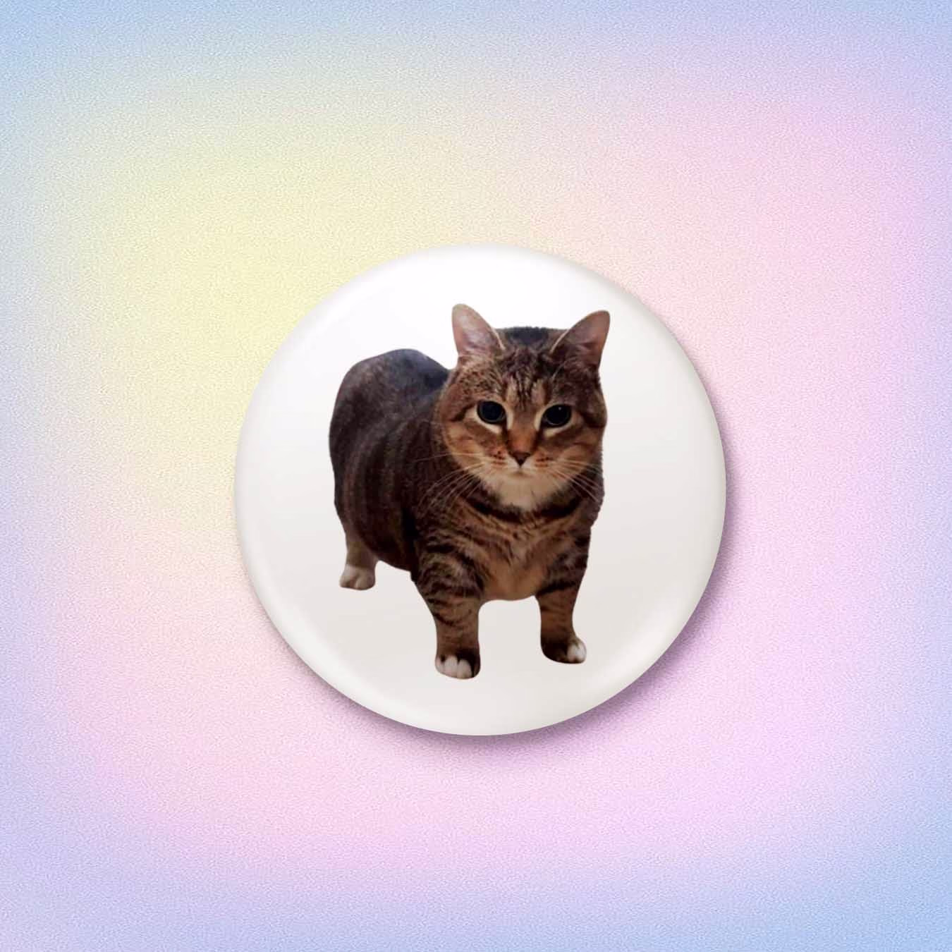 Значок "OIA CAT / ОИА КОТ"